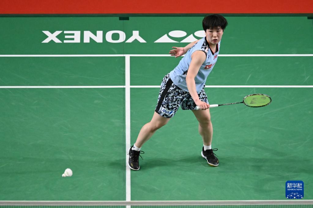 多样性表现 多样性表现