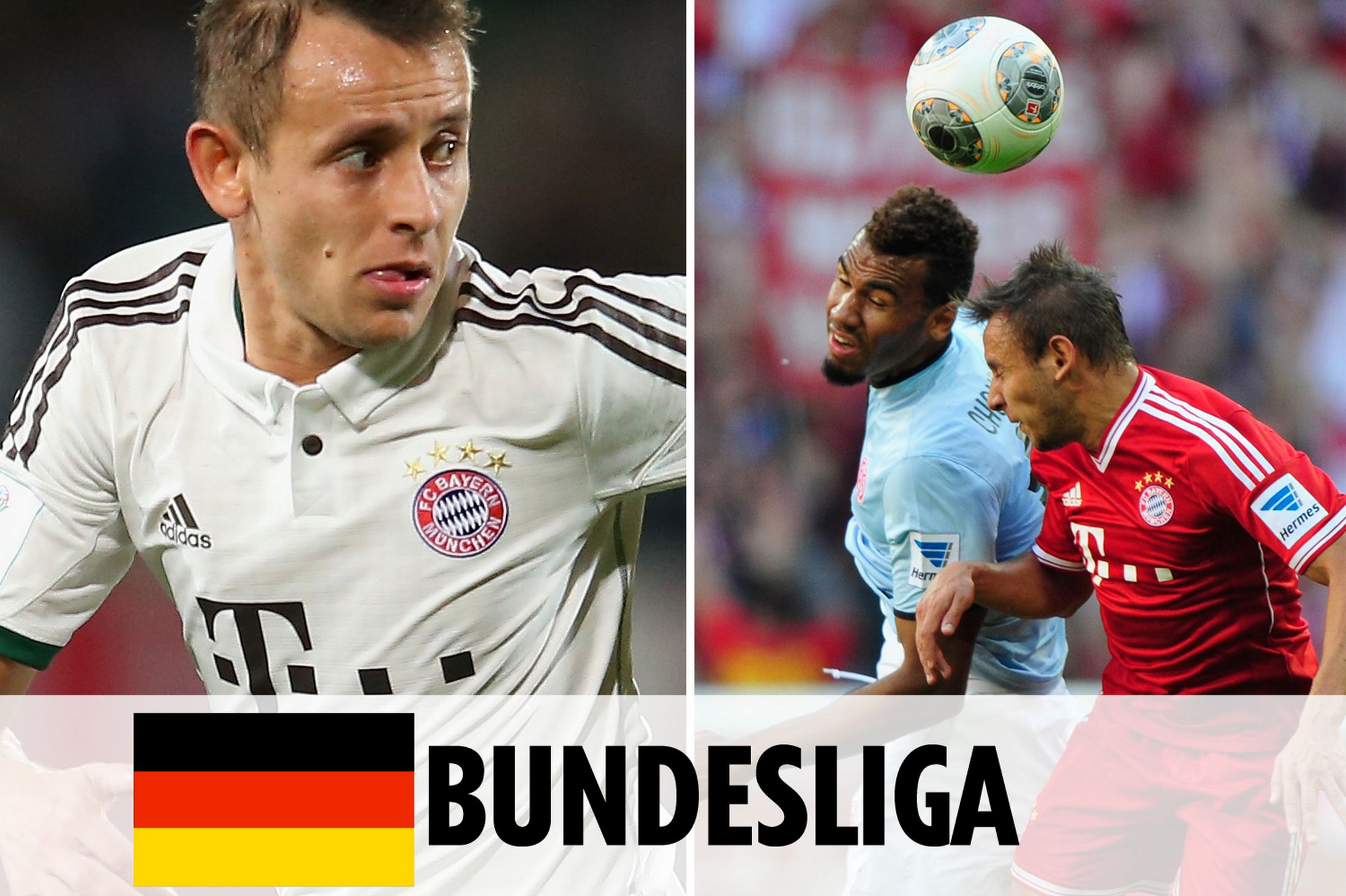 固的替补阵 固的替补阵